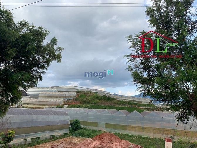 Hình ảnh Bán đất mặt tiền Đa Phú P7 Đà Lạt view thung lũng săn mây đắt giá