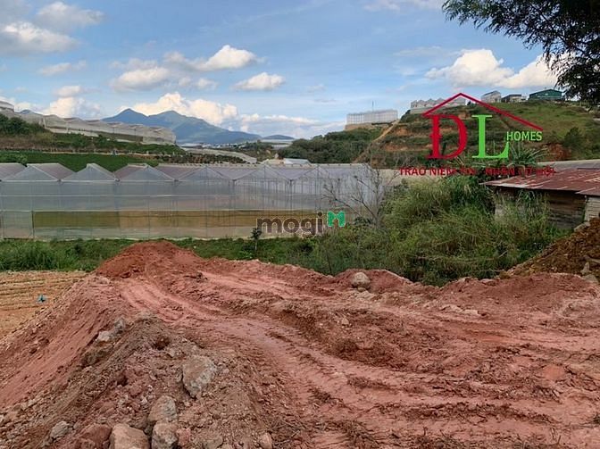 Hình ảnh Bán đất mặt tiền Đa Phú P7 Đà Lạt view thung lũng săn mây đắt giá