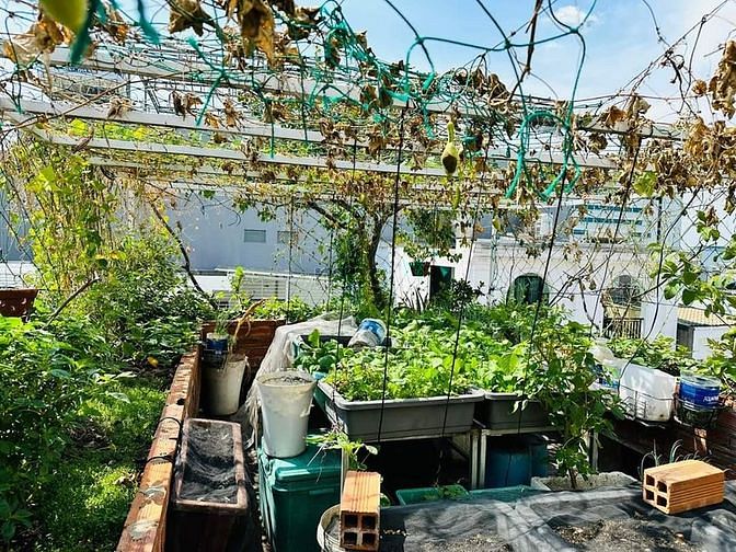 Hình ảnh Hẻm Xe Hơi, 84m2, 5 Tầng, Thang Máy, Lê Văn Huân, Phường 13, Tân Bình