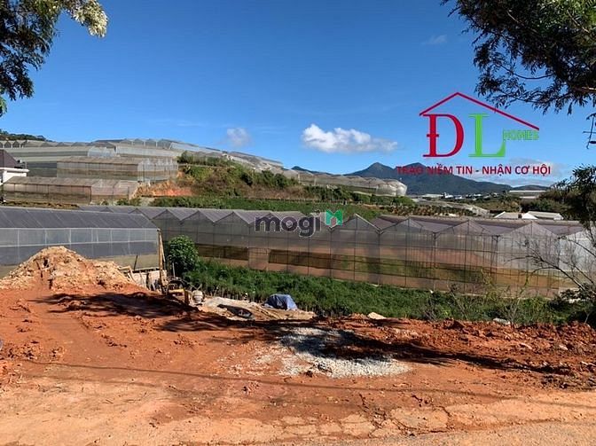 Hình ảnh Bán đất mặt tiền Đa Phú P7 Đà Lạt view thung lũng săn mây đắt giá