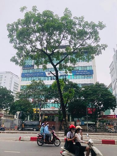 Hình ảnh Cho thuê MBKD mặt phố Hoàng Quốc Việt