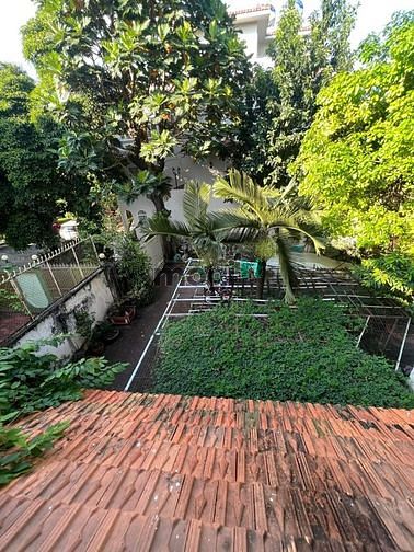 Hình ảnh Biệt Thự Cổ, 416m2, Ngang 14m, 3 Tầng, Phổ Quang, Phường 2, Tân Bình