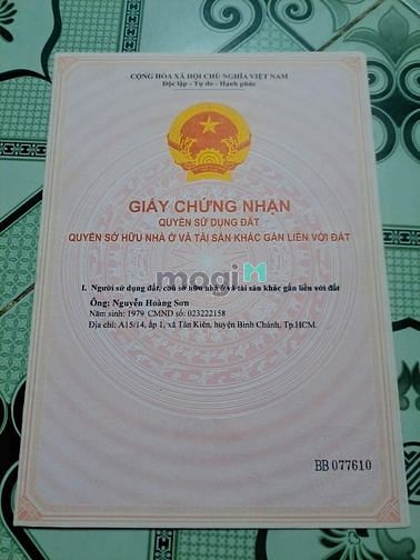 Hình ảnh Cần bán gấp đất trồng lúa tại Tân Kiên, Bình Chánh