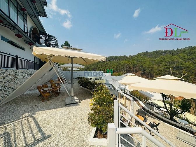 Hình ảnh Cho thuê khu đất Hoàng Hoa Thám phường 10 Đà Lạt view thông
