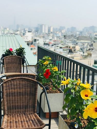 Hình ảnh CHDV cao cấp-Studio ban công- Tô Hiến Thành Q10
