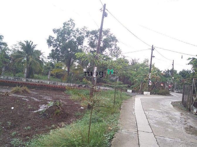 Hình ảnh Bán đất HXH Đinh Đức Thiện, 1663m2, giá 20 tỷ