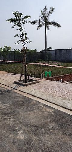 Hình ảnh Đất nền ngay chợ Khải Hoàn Bình Tân, giá cả cạnh tranh thị trường