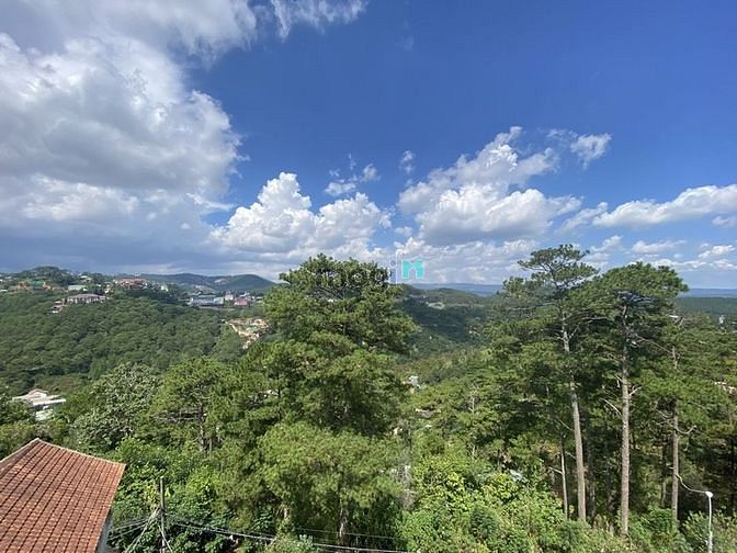 Hình ảnh Đất nền biệt thự đường Măng Lin, View đồi thông cực đẹp, gần khu Villa