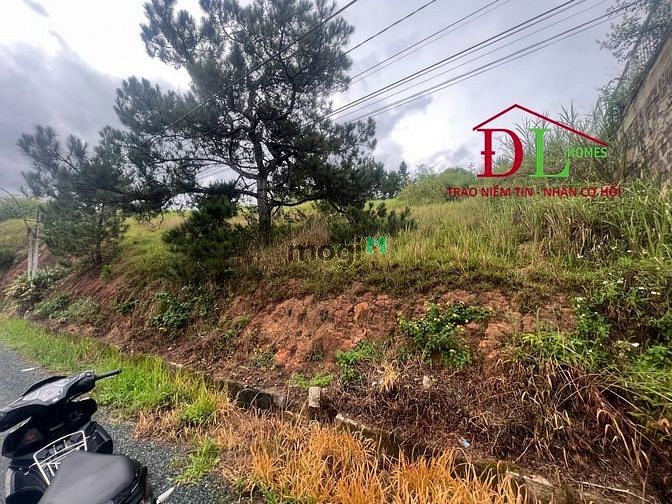 Hình ảnh Bán đất nghỉ dưỡng 2 mặt tiền Đồi Huy Hoàng P8 Đà Lạt view thũng lũng