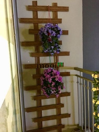 Hình ảnh Tổng Hợp CHCC HOME CITY - 177 Trung Kính - Cầu Giấy - 2PN - 3PN