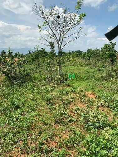 Hình ảnh Đầu tư 2362m2 đất PRThành (có đường) - Chiết khấu lên đến 3%