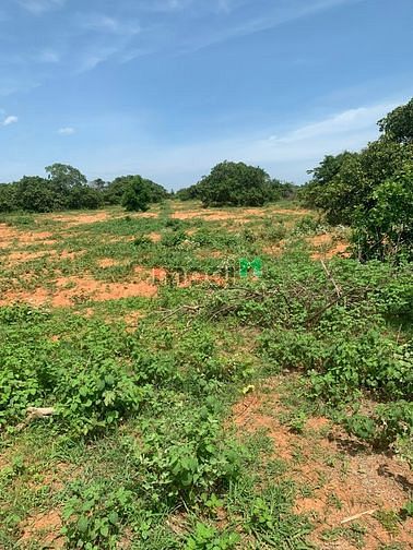 Hình ảnh Đầu tư 2362m2 đất PRThành (có đường) - Chiết khấu lên đến 3%