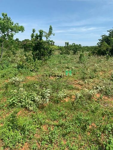 Hình ảnh Đầu tư 2362m2 đất PRThành (có đường) - Chiết khấu lên đến 3%