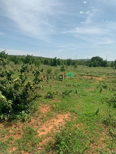 Hình ảnh Đầu tư 2362m2 đất PRThành (có đường) - Chiết khấu lên đến 3%
