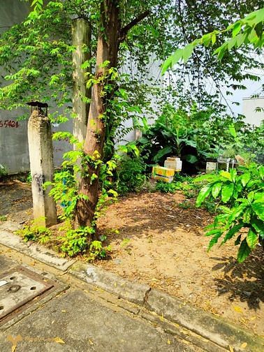 Hình ảnh Cần bán ngay lô đất giá ngộp Bình Chiểu, Thủ Đức, Sổ hồng riêng, Giá k