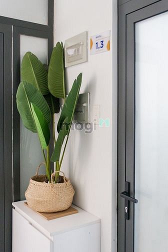 Hình ảnh CH 1PN full nt - BAN CÔNG thoáng mát 🍁 vị trí đẹp tại thảo điền q2