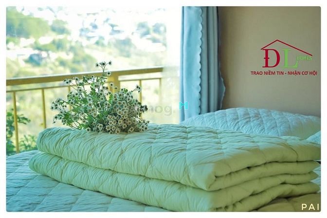 Hình ảnh Sang homestay Đặng Thái Thân Phường 3 Đà Lạt view thung lũng cực đẹp