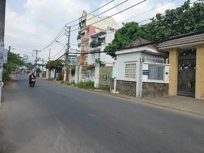 Hình ảnh BDS HVL Bán lô 11.000m2 đất đường 11 Trường Thọ, TĐc chỉ 60 tỉ 12/05