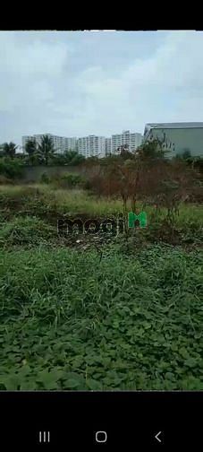 Hình ảnh Khu Nhà ở Tân Tạo, tỉnh lộ 10, Bình Tân