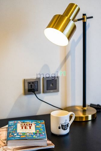 Hình ảnh Cho thuê Studio 30-35-45 m2 Thảo Điền Q2