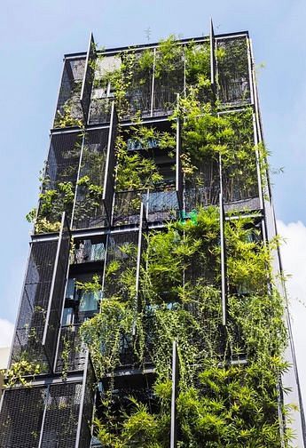 Hình ảnh 🌆Mb6623 nạp rút nhanh chóng 1 phòng ngủ - style tropica gần Hồ Con Rùa
