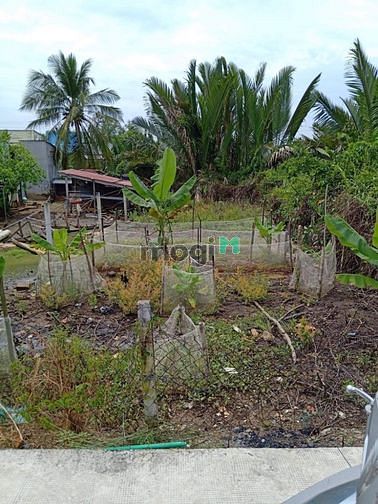 Hình ảnh BÁN GẤP! Đất thổ cư 150m2 (6x25m), giá 1tỷ8( thương lượng )