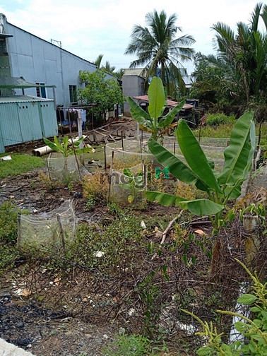 Hình ảnh BÁN GẤP! Đất thổ cư 150m2 (6x25m), giá 1tỷ8( thương lượng )