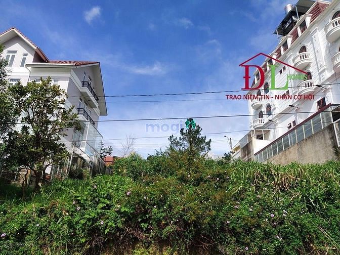 Hình ảnh Bán đất nghỉ dưỡng 2 mặt tiền Đồi Huy Hoàng P8 Đà Lạt view thũng lũng