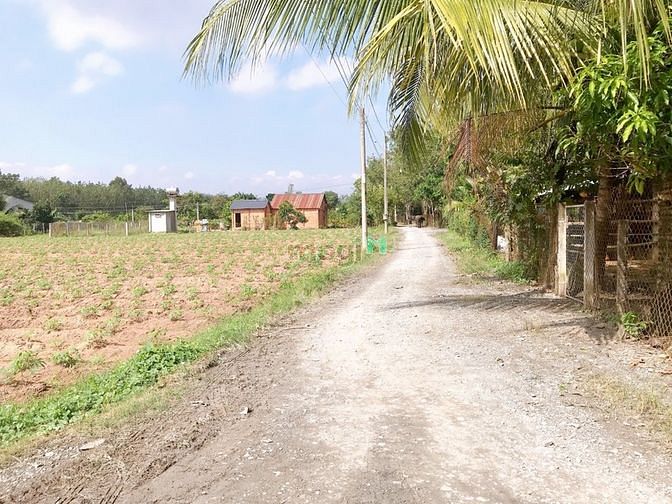 Hình ảnh Tôi cần bán 140m2/350tr ở QL.22B Gò Dầu