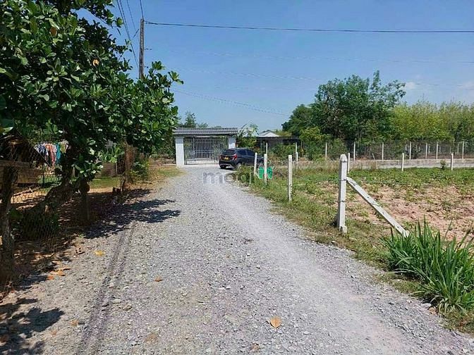 Hình ảnh Tôi cần bán 140m2/350tr ở QL.22B Gò Dầu