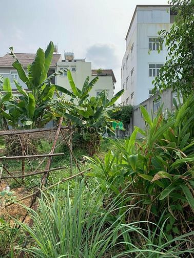 Hình ảnh Cần Bán Lô Đất Vuông Vức, Thổ Cư 100%  Thới An, Quận 12 Chỉ 12 Tỷ.