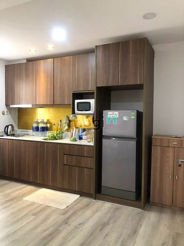 Hình ảnh Căn Hộ Dịch Vụ mới hoàn thiện 1PN Thảo Điền Q2