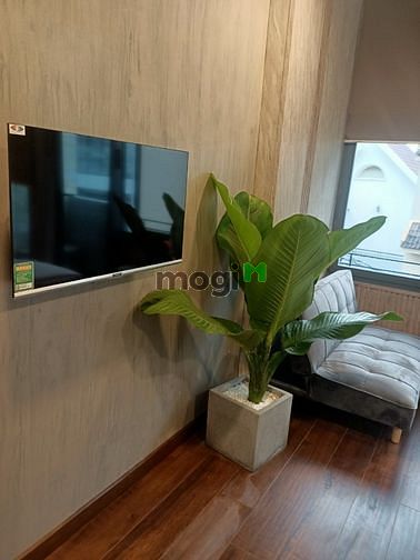Hình ảnh Studio Full nội thất xịn xò Thảo Điền Q2