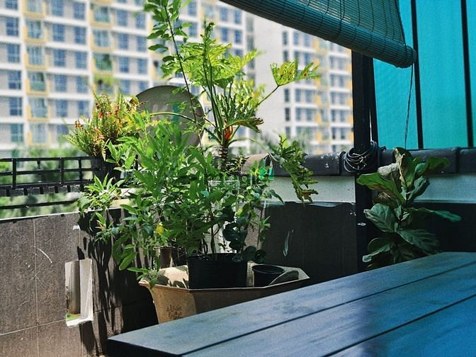 Hình ảnh Căn Hộ Cao Cấp 1 Phòng Ngủ ngay sân bay giá siêu tốt