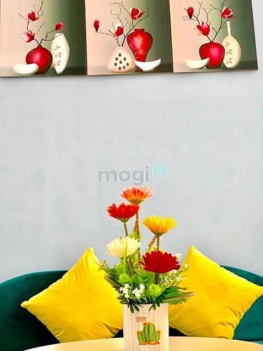 Hình ảnh 🔥Mb6623 nạp rút nhanh chóng 1PN cửa sổ Full nội thất thiết kế năng động trẻ trung