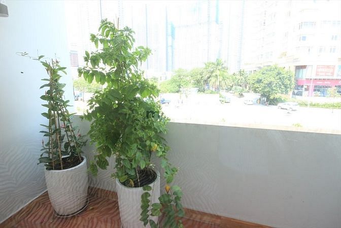 Hình ảnh CHDV cửa sổ Nguyễn Hữu Cảnh, Điện Biên Phủ, Phường 22, Bình Thạnh