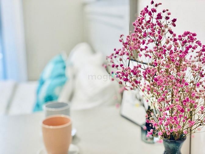 Hình ảnh Khai trương CHDV STUDIO_Phan Đăng Lưu_Gần chợ Bà Chiểu new 100%