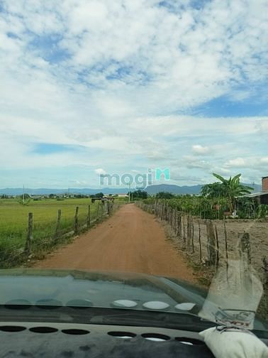 Hình ảnh Bán nhanh lô đất 4871m2 xã Phan Thanh, Bắc Bình đón cao tốc Dầu Giây