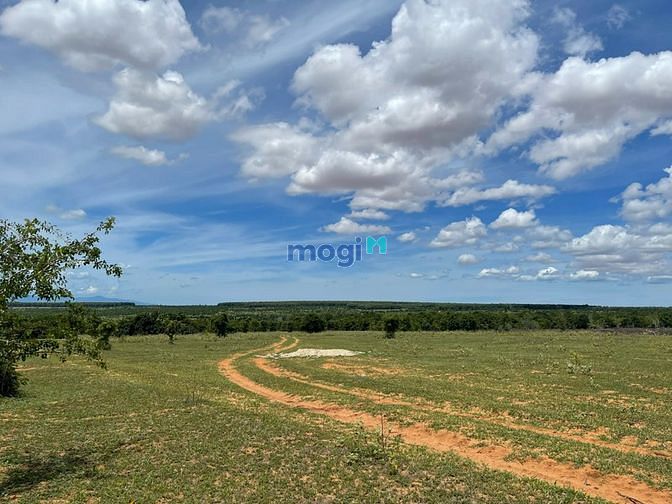 Hình ảnh Bán nhanh lô đất 4871m2 xã Phan Thanh, Bắc Bình đón cao tốc Dầu Giây