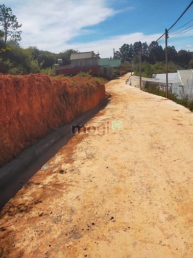 Hình ảnh Bán lô đất 290m2 ngay thị trấn Lạc Dương, TP Đà Lạt.