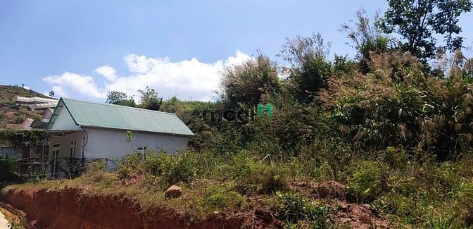 Hình ảnh Bán lô đất 290m2 ngay thị trấn Lạc Dương, TP Đà Lạt.