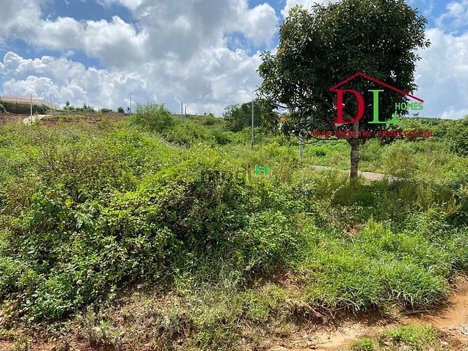 Hình ảnh Bán đất hai mặt tiền Măng Lin phường 7 Đà Lạt view thung lũng đắt giá