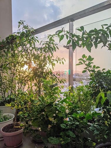 Hình ảnh Cho thuê 2PN2WC 78m2 Full18 Triệu ở liền Quận10 ( C/c Rivera Park )
