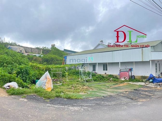 Hình ảnh Bán đất 2 mặt tiền hẻm Bạch Đằng phường 7 Đà Lạt kinh doanh nghỉ dưỡng
