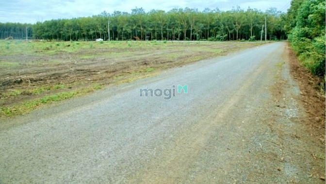 Hình ảnh Đất khu Tây Hòa Trảng Bom Đồng Nai