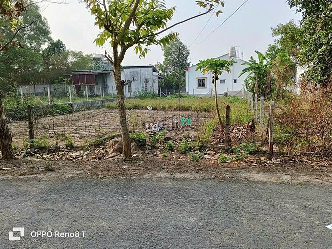 Hình ảnh Đất Mặt Tiền Đường 12 Mét Xã Phước Vĩnh An, 531m2, Sổ Hồng Riêng