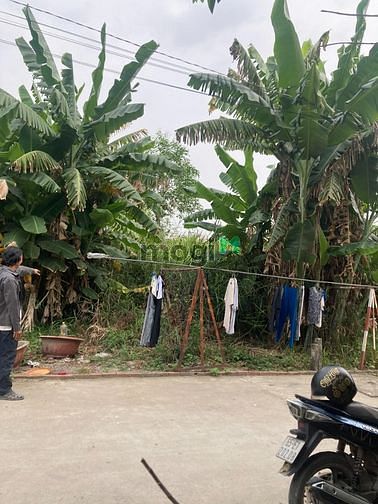 Hình ảnh Cần bán gấp đất 85.6m2 Bình Chánh