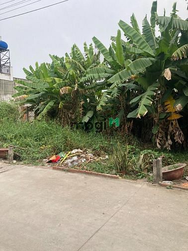 Hình ảnh Cần bán gấp đất 85.6m2 Bình Chánh
