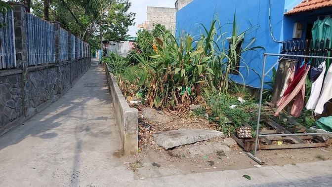 Hình ảnh Bán lô đất sát phà Bình Khánh xã Bình Khánh 116m2
