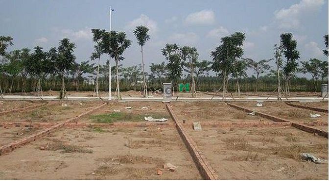 Hình ảnh Đất nền sân bay Long Thành Giá rẻ nhất Thị Trường Sổ Hồng riêng